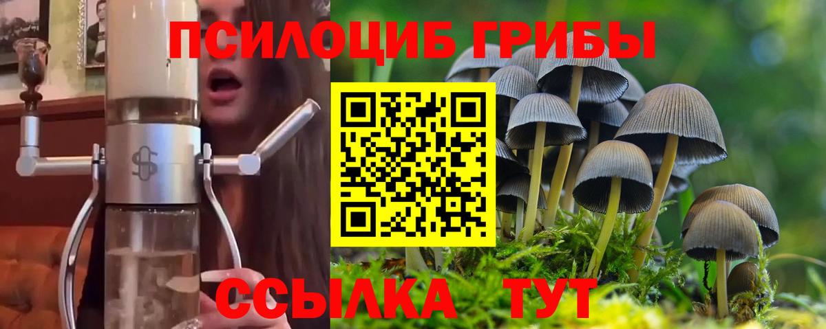 Киров  Псилоцибиновые грибы мицелий  Вход с VPN 